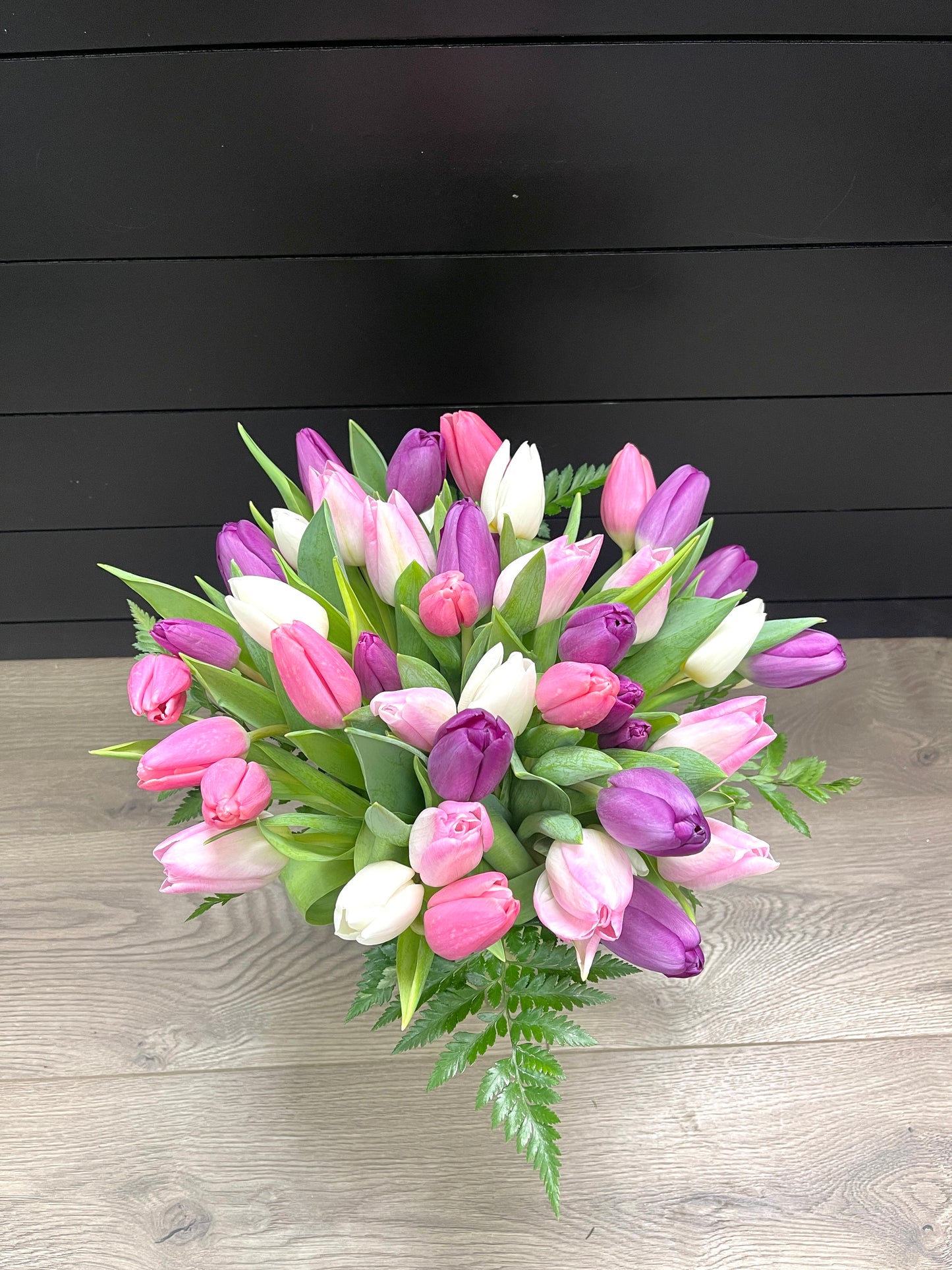 Lovely Tulips