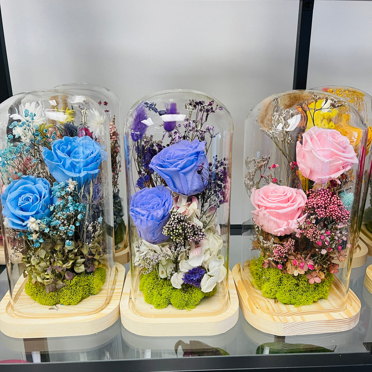 Medium Roses Medium rose garden – Flowers By E